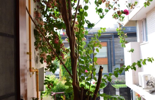 Chandigarh Apartment | Kuteer A Peaceful Homestay in Chandigarh