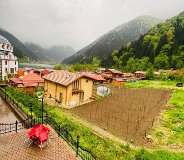 Uzungol Apartment | Kuzey Suite Otel