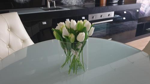 Chomutov Apartment | Květinový apartmán A3B v Chomutově