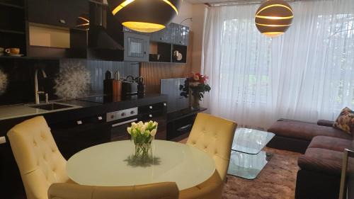 Chomutov Apartment | Květinový apartmán A3B v Chomutově
