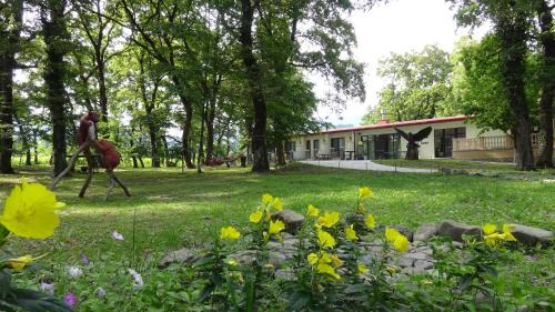 Kvareli Hotel | Kvareli Oaks