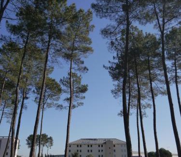 Saint-Avit Hotel | Kyriad Direct Mont De Marsan - St Avit