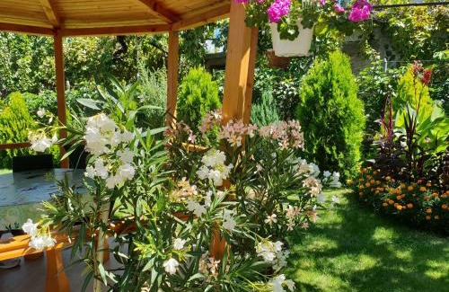Sapareva Banya House | Kyurkchievi Guest House