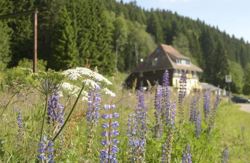 Hinterzarten House | Löffelschmiede Hotel & Restaurant am Titisee / Feldberg