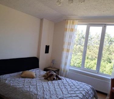 Varve House | Lāči Polantra