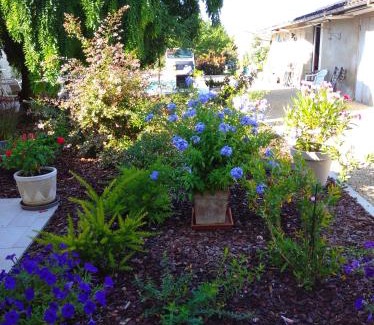 Bergerac Bed & Breakfast | L'Acacia