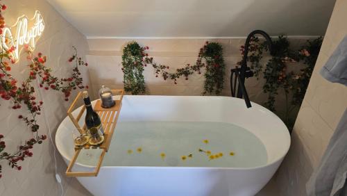 Quartier Saint-Clement - Jardin des Plantes Apartment | L'alcôve enchantée