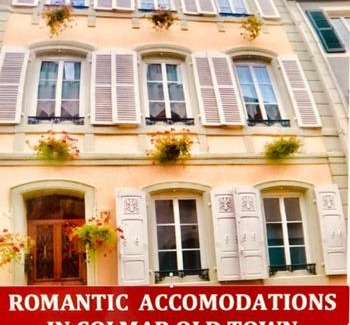 Old Town Apartment | L'ambassadeur - Colmar centre