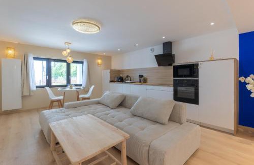 Mittelhausbergen Apartment | L'Andalouse - SPA Privatif - Jacuzzi Hammam Sauna