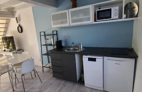 Chaponost House | L'annexe des Iris