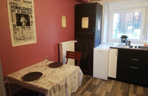 Stosswihr Apartment | l'antre du Sorcier (inspiré du monde Harry Potter)