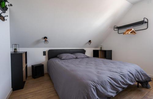Sainte-Gemmes-sur-Loire Apartment | l'appart Gemmois , climatisé et moderne avec balnéo