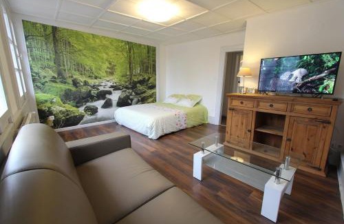 Riquewihr Apartment | L'Appartement - Cœur de Riquewihr - 2 à 4 personnes