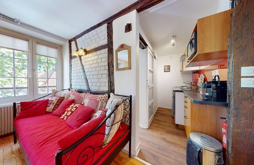 Colmar Centre Ville Apartment | l appartement turenne with access to lounge