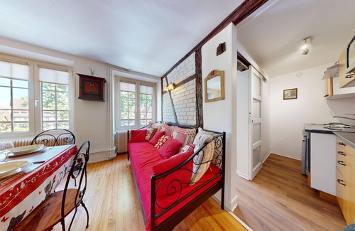 Colmar Centre Ville Apartment | l appartement turenne with access to lounge