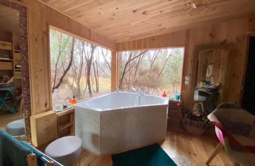 Lacanau Ski Chalet | L'Aquarium de Proust sous les arbres