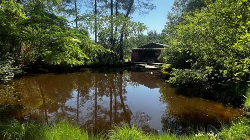 Lacanau Ski Chalet | L'Aquarium de Proust sous les arbres