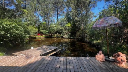 Lacanau Ski Chalet | L'Aquarium de Proust sous les arbres