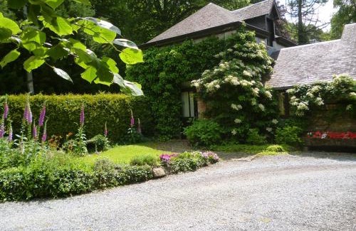 Pont-a-Lesse House | L'arche De Noé