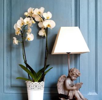 Salins-les-Bains Apartment | L'Aristoloche