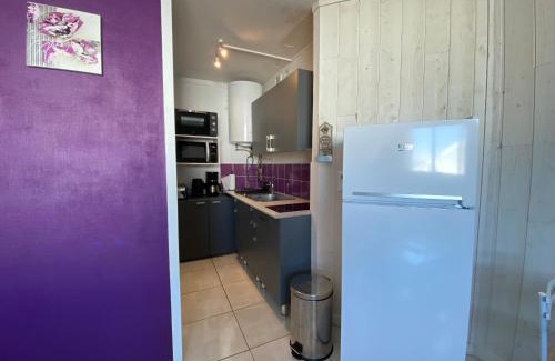 Pla d'Adet Apartment | L'Armazan