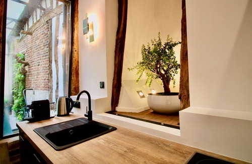 Quartier Vieux Marche-Cathedrale Apartment | L'atelier 1742 - Atypique Jacuzzi Hyper Centre Rouen (sleeps 4)
