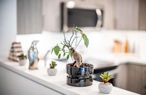 Revelstoke Apartment | L'Austin Reve by Revelstoke Vacations