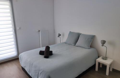 Faubourg-Raines Apartment | L'AuthentiCité, jardin et parking au centre-ville