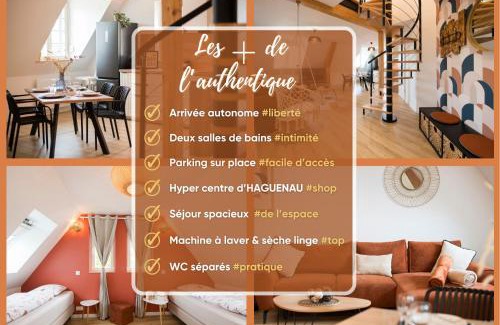 Haguenau Apartment | L'Authentique Spacieux duplex 2 salles de bains