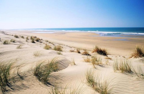 Saint-Georges-d'Oleron House | l'Echo des Vagues