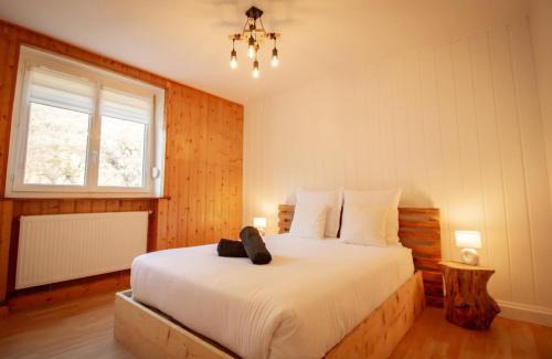 La Lechere Apartment | L'Edelweiss - Au pied des montagnes