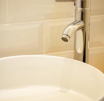 La Lechere Apartment | L'Edelweiss - Au pied des montagnes