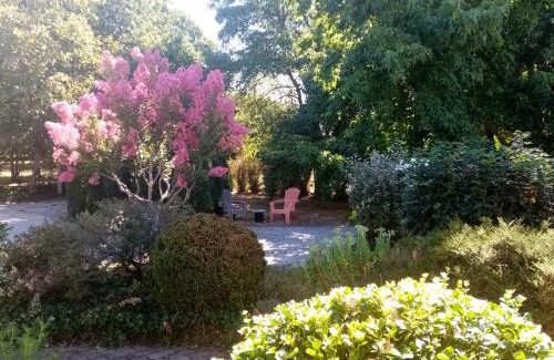 Challans House | l'Eden naturiste écureuil