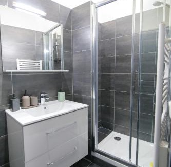 Saint-Roch - Badouillere - Chavanelle Apartment | L'Eléphant, T2 hypercentre chic et cosy, Wifi par SOVALFI