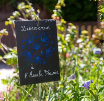 Saint-Brieuc Bed & Breakfast | L'Escale Fleurie à Saint Brieuc