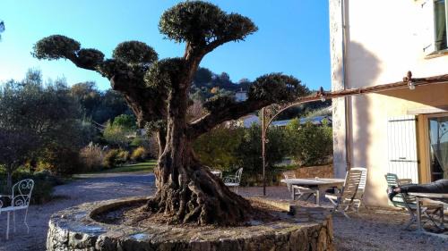 Tourrettes Bed & Breakfast | L'Escale Provençale