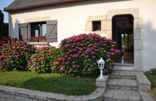 Sene Bed & Breakfast | L' ESCALE SINAGOTE Chambre d'hôtes