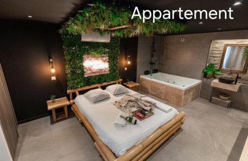 Saint-Jean-Bonnefonds Apartment | L'expérience LOVE ROOM