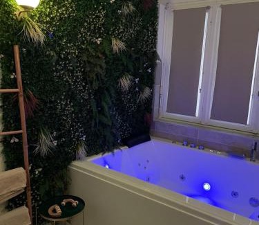 Quartier Chorier-Berriat Apartment | L'extasia appartement,spa jacuzzi Grenoble