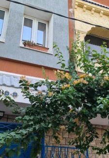 Kelibia House | L'Hirondelle de Kelibia : Chez Amou