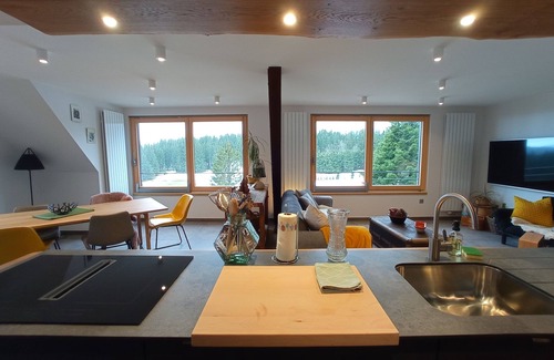 Orbey Apartment | l'horizon gîte n°2 for 6 people top of the range
