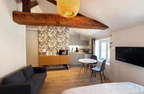 Macon Apartment | L'IDYLLE - Studio Cocooning avec Jacuzzi