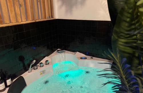 Downtown Angers Apartment | L'Oasis Angevine - Balneo, Sauna, Home Cinema & Parking