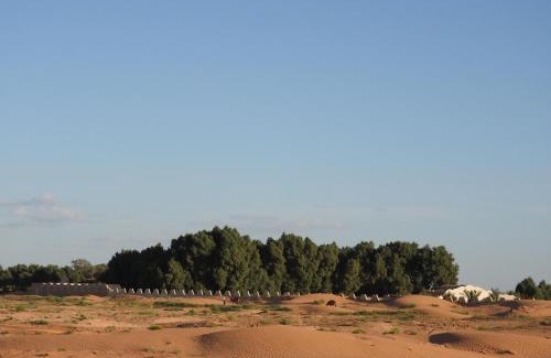 Ksar Ghilane Hotel | L'Oasis
