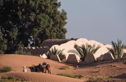 Ksar Ghilane Hotel | L'Oasis