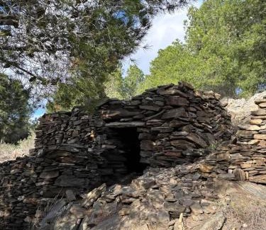 Bages Bed & Breakfast | L'Olivier