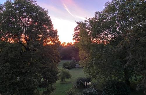 Ury Bed & Breakfast | L’orée du bois des rois