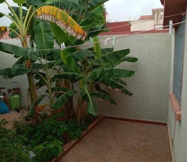 Marina Villa | L'orientale
