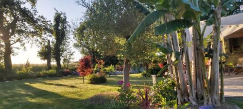 Ambon Bed & Breakfast | L'Oustaou du Bodo