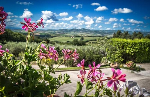 Candelara Villa | L'uliveto